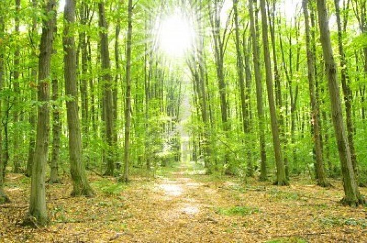 386719_10150528831200968_656335967_11235111_757553745_n