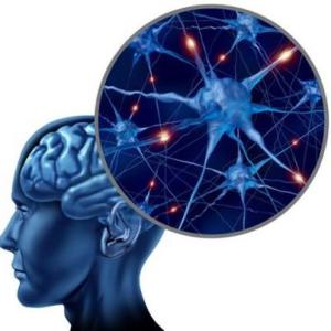 528551_464605703583951_821838833_n